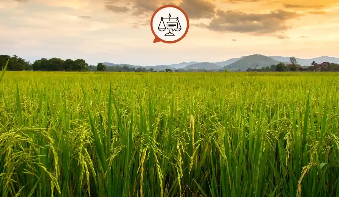 Hisseli Tapu Haczedilir mi? Bilmeniz Gereken Her Şey!