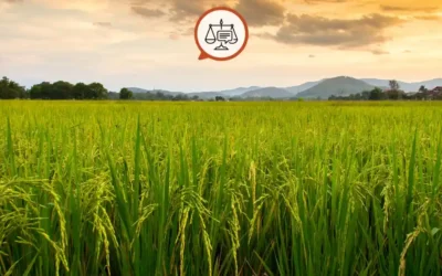 Hisseli Tapu Haczedilir mi? Bilmeniz Gereken Her Şey!