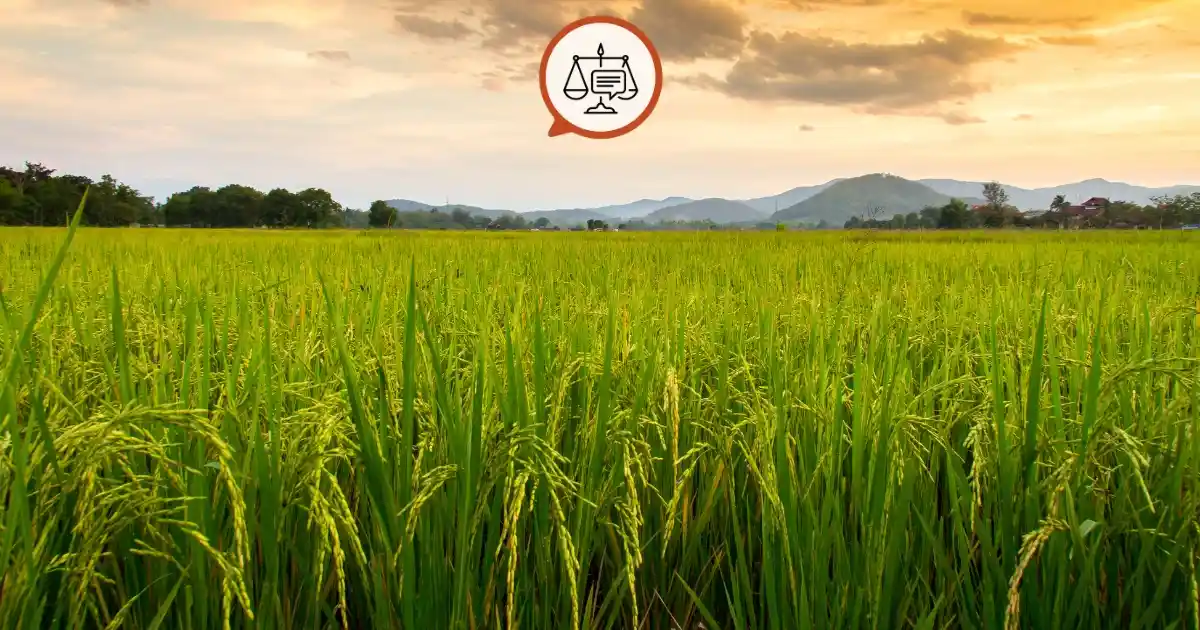 Miras kalan bir tarla, aile yadigarı bir apartman dairesi ya da yatırım için ortaklaşa alınmış bir arsa… Türkiye’de birçok taşınmazın birden fazla sahibi, yani hissedarı bulunuyor. Miras kalan bir tarla, aile yadigarı bir apartman dairesi ya da yatırım için ortaklaşa alınmış bir arsa... Türkiye'de birçok taşınmazın birden fazla sahibi, yani hissedarı bulunuyor.